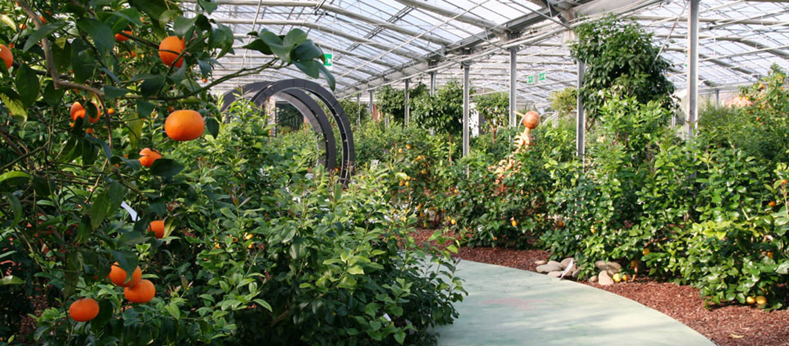 Potassium sulfate for greenhouses