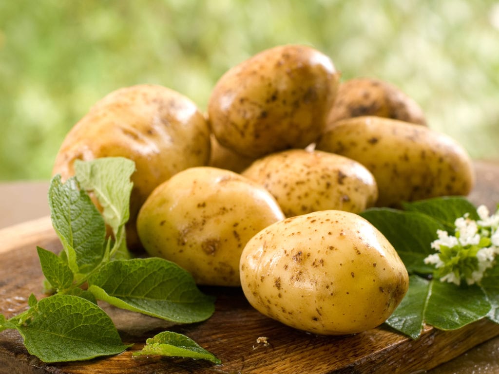 Удобрения для картофеля весной